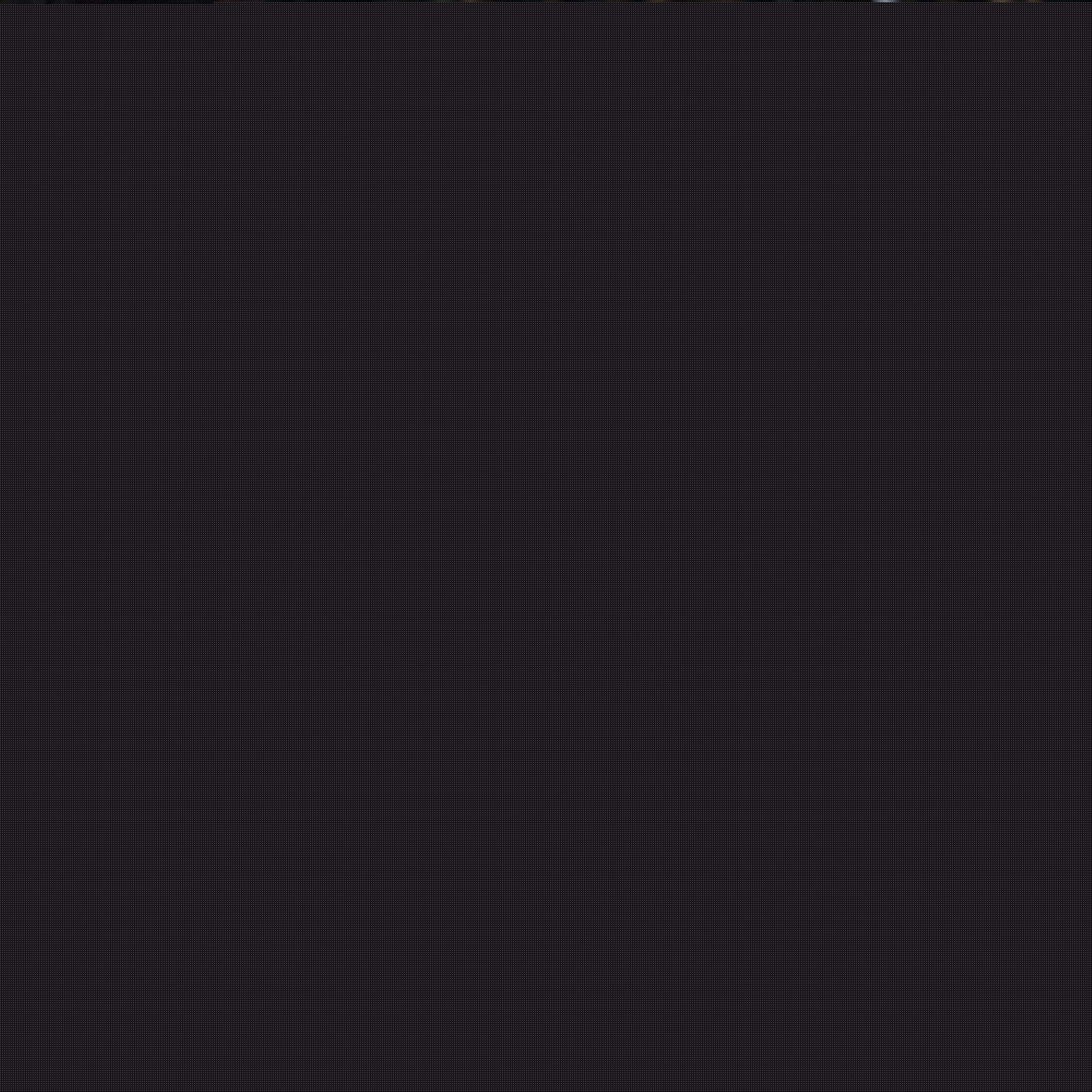 特点