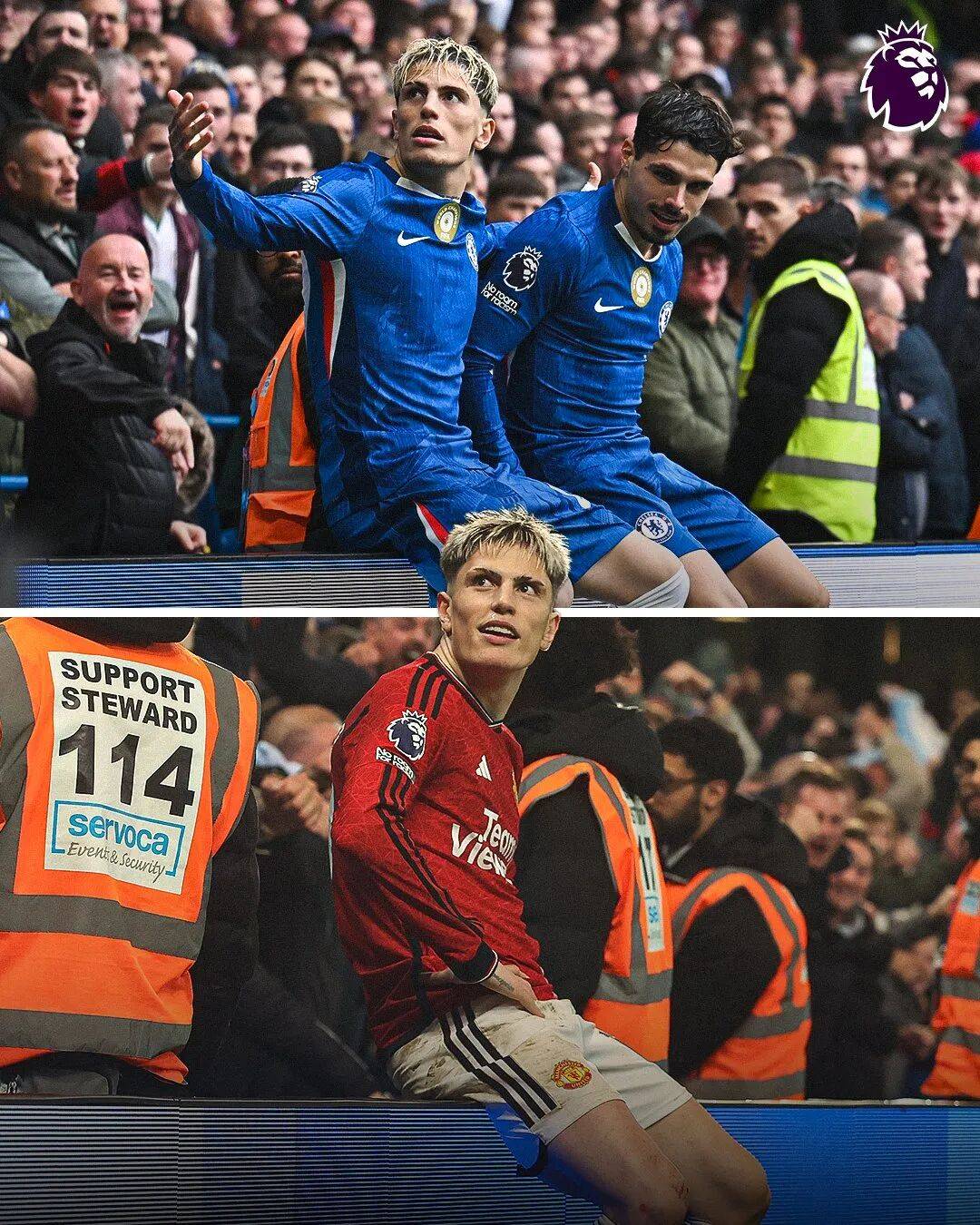 血缘等条款 血缘等条款